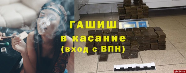 ECSTASY Богородицк