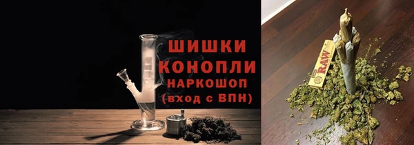 ECSTASY Богородицк
