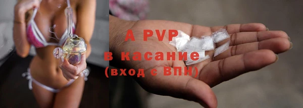 ECSTASY Богородицк