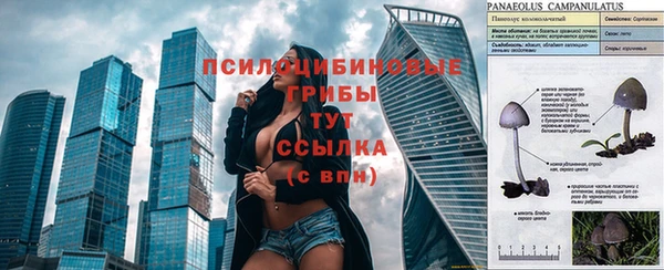 ECSTASY Богородицк