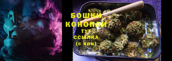 ECSTASY Богородицк